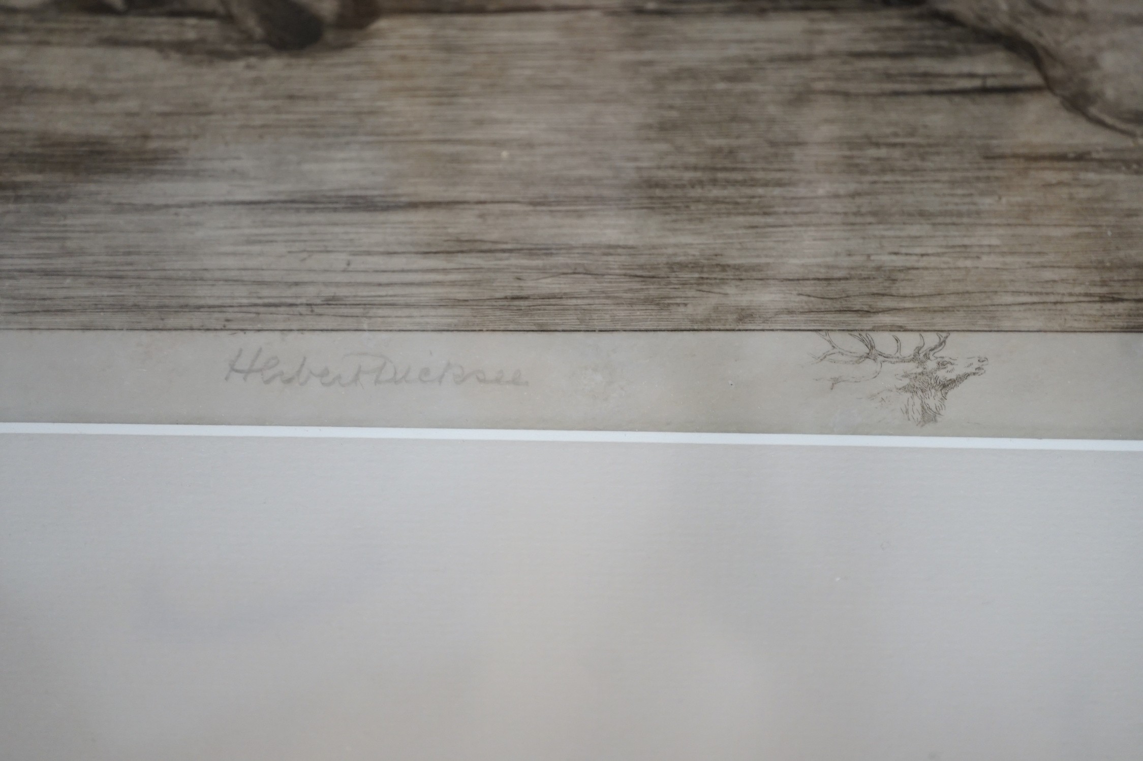 Herbert Dicksee, R.E. (1862-1942), drypoint etching, Deer hound with master's glove, signed in pencil, 32 x 63cm